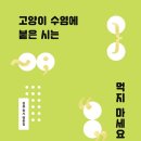 《고양이 수염에 붙은 시는 먹지 마세요》 김륭(2021.11.30) 이미지