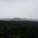 피플제주