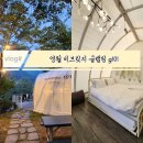 비브릿지 | 영월 펜션 비브릿지 리조트 글램핑 g101 감성 숙소 숙박 후기