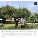3.1독립운동 4.4만세기념공원 맞은편 - 1365 | 1920년대를 대표하는 항일운동 ​ 6.10 만세운동과 광주학생독립운동과 진주형평운동 ​