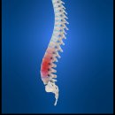 포시즌한의원 이미지