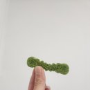 핫펫
