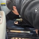 세차의 고수 일산,파주 이미지