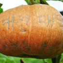 이현동3 이미지