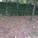 중흥중학교 이미지