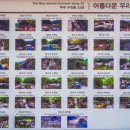 설천면007 Daum카페