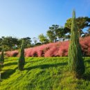 더힐병원 | 전주 베이커리 카페 온더힐 다녀온 후기