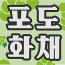 모코라인