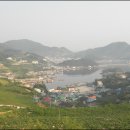 욕지도 하늘정원 Daum카페