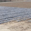 흥터민박 이미지