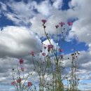 오곡 오지 이미지