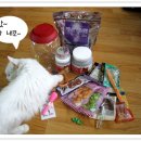 참조은펫 이미지