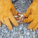 가평사과나무캠핑장 이미지