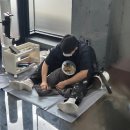 황금산 고양이 이미지