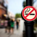 오늘유치원 이미지