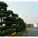 하이트 진로 전주공장 이미지