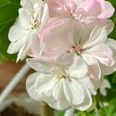 아라 요양원 이미지