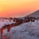 무등산한의원 이미지