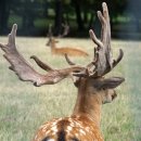 경희회오리한의원 이미지