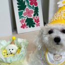 둥글댕글 이미지