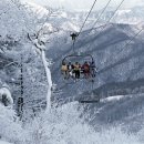 무주인게스트하우스 이미지