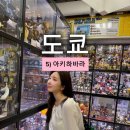 장난감 소매업 - 성동구 금호로 164 | 도쿄여행 5일차 - 아키하바라(피규어, 가챠, 사진스팟 공유)