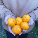 영섭농장 이미지