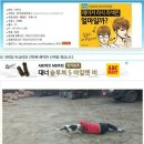 행복한 산책 이미지