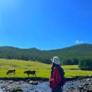 초원세탁소 이미지