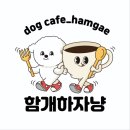 함개하자냥 이미지