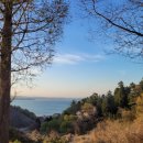 보라안경(by씨채널) | 2022년 고3 3모 영어시험지와 답지, 18번~45번 해석