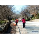 터줏대감 이미지