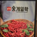 숯계일학
