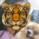 재미나노래연습장 이미지