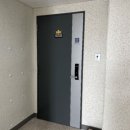 일성트루엘더퍼스트 이미지