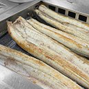 풍천장어 직판구이 | 고창 장어 맛집 우리풍천장어 복분자와 먹는 소금구이 솔직 후기