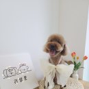 리쌀롱 이미지