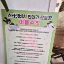 5709 | 원주 바베큐 스타릿비치 후기｜애견 동반·개별 룸까지 완벽한 캠핑 감성