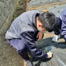 흥성농장 이미지