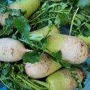 오기농장 이미지