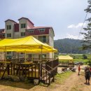 펜션 숲 이미지