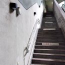 신광농장 | 화둥선 북부 린룽 여행, 새 신발의 배신과 지하역 탐방