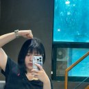 규원빌딩 | 25년 8월: 여름과 햄버거의 상관관계= 정비례 관계🍔