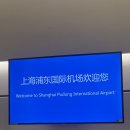 TEAM | [상해] 김해-상하이 푸동, 상하이 항공 탑승 및 기내식 후기, SKYTEAM 마일리지, 비즈니스석