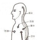 31. 經絡5권(제3장 경락생리(經絡生理)와 암(癌)의 종류) 이미지