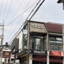 올마이티 | 강남역 수제버거 맛집 위트앤미트 강남점 | 강민경버거로 유명한 칠리치즈버거와 올마이티버거 솔직후기
