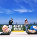 [서산 당진 여행] 필수 코스! 서산 한우목장 힐링 산책 &amp; 삽교호 관광지 놀이동산 솔직후기
