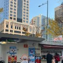 남산2리 마을회관 | 서울시티투어버스 도심고궁남산 코스 단풍구경 후기(꿀팁, 위치, 노선, 시간표)+황생가칼국수