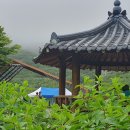 화명대천천 이미지