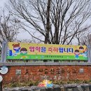 저단1 이미지